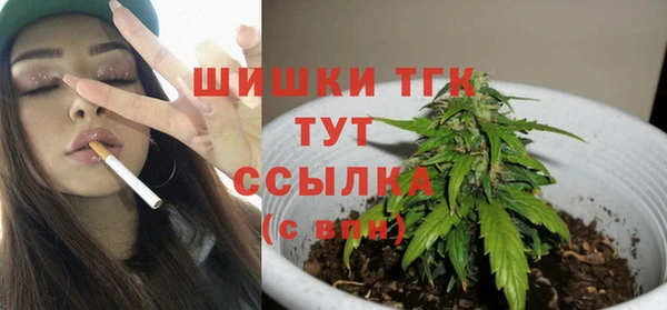 молекула духа Зеленокумск