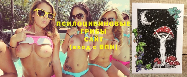 молекула духа Зеленокумск