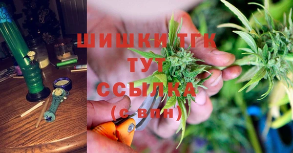 молекула духа Зеленокумск