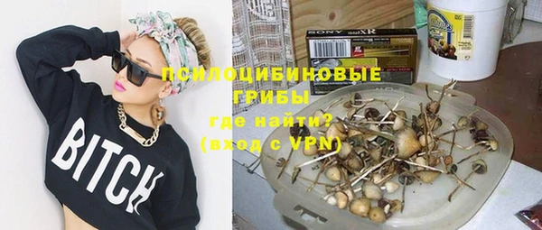 молекула духа Зеленокумск