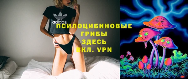 молекула духа Зеленокумск